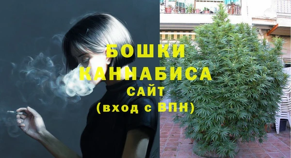 мяу мяу мука Беслан