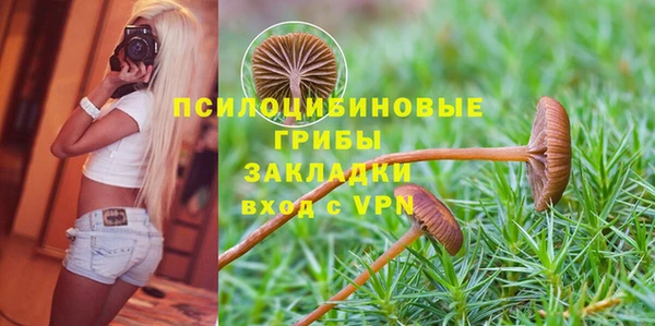 героин Алексин