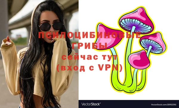 спиды Алексеевка
