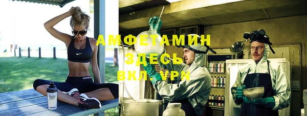 МДПВ Пересвет