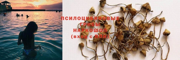 МДПВ Пересвет